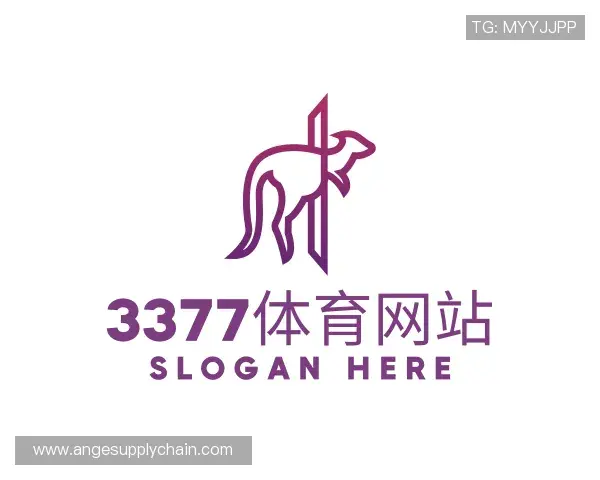 了解3377体育网站